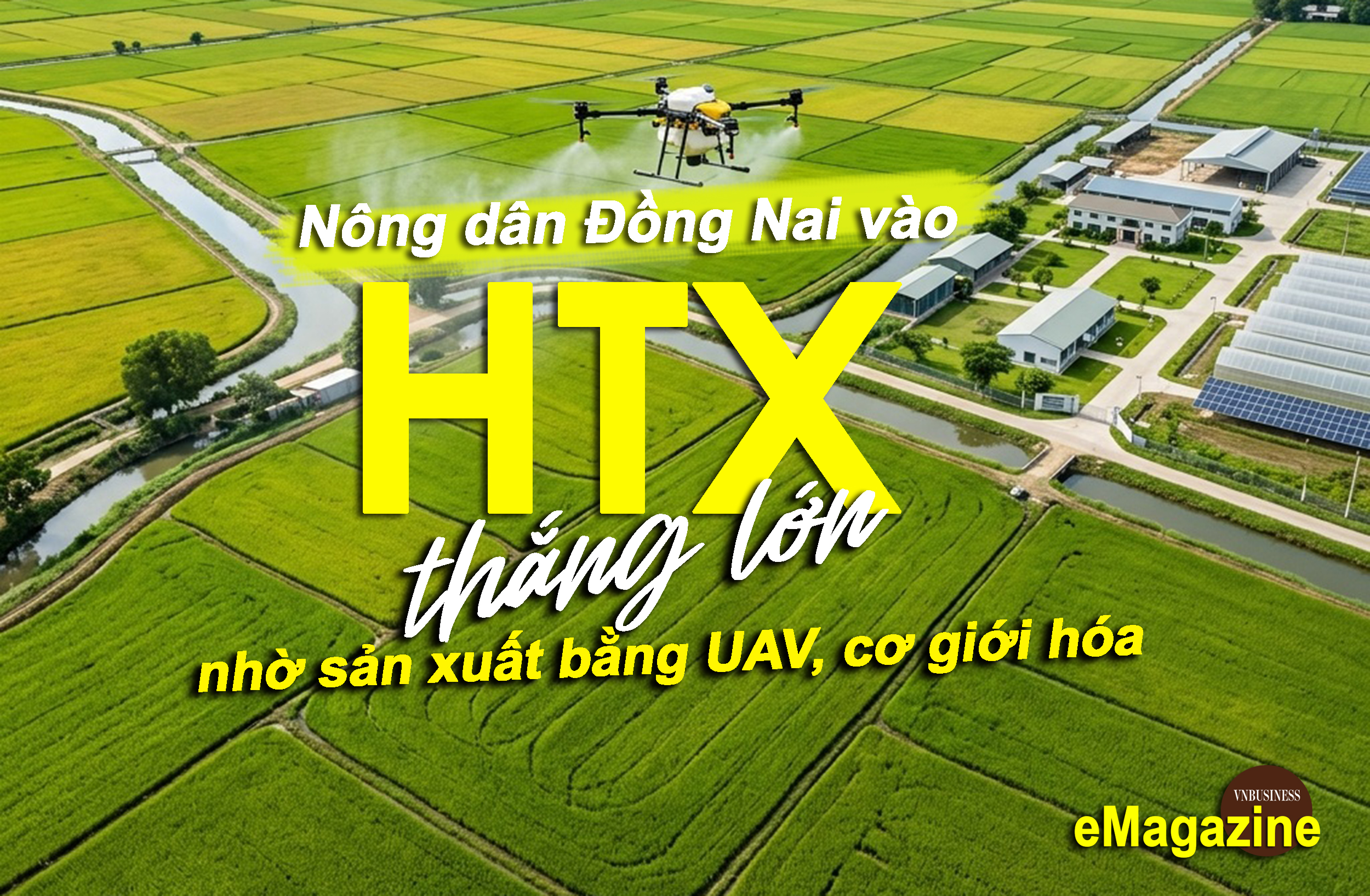 Nông dân Đồng Nai vào HTX, ‘thắng lớn’ nhờ sản xuất bằng UAV, cơ giới hóa