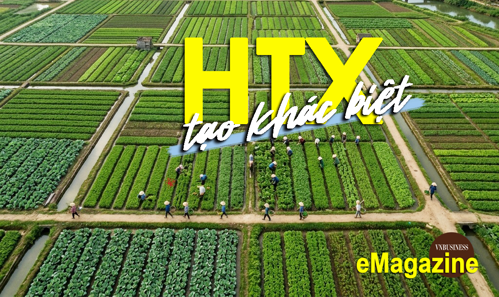 Một hướng đi tạo khác biệt cho HTX ở Quảng Ninh