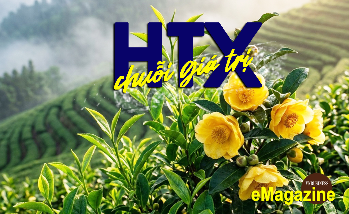 HTX tạo chuỗi giá trị, nâng tầm đặc sản địa phương
