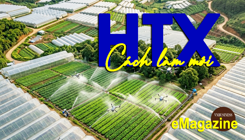HTX tạo sức bật cho nông nghiệp hiện đại, giúp nông dân thu trăm triệu/năm