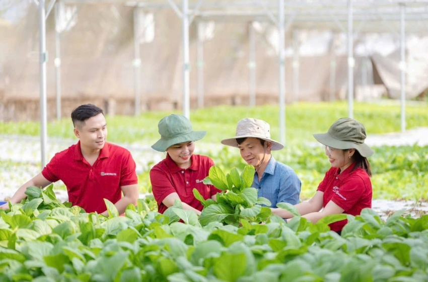 VnBusiness