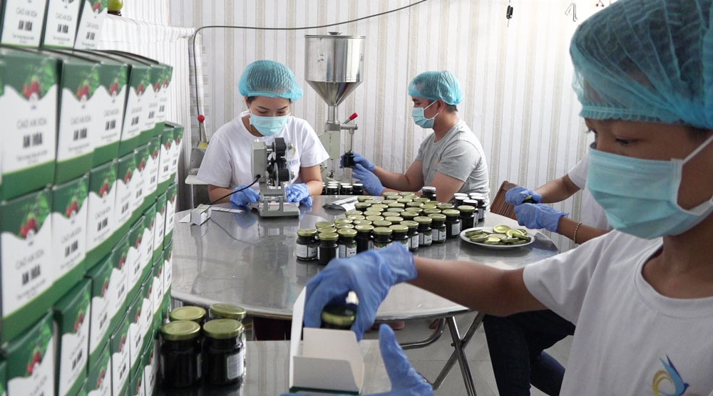 Các sản phẩm mang thương hiệu An Hòa được phát triển trên nền tảng nghiên cứu, bảo hộ nhãn hiệu, tiêu chuẩn chất lượng và truy xuất nguồn gốc, giúp mở rộng thị trường trên phạm vi cả nước.