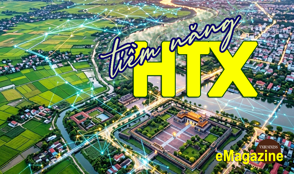 HTX đánh thức tiềm năng địa phương, nâng tầm thương hiệu bằng tài sản trí tuệ