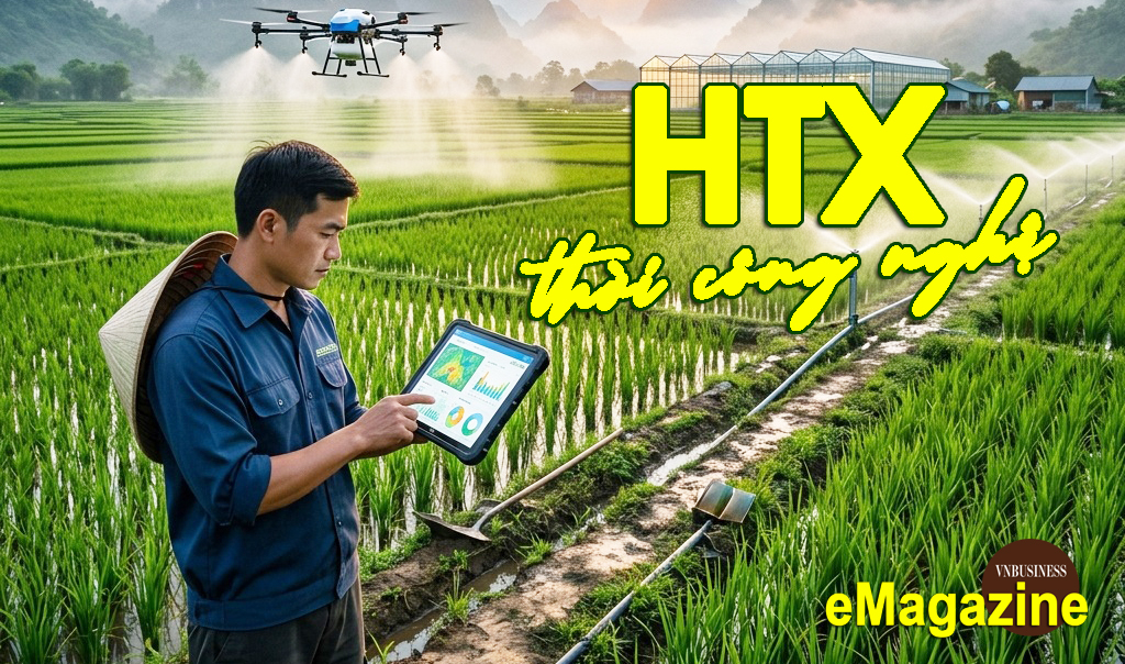 Làm nông thời công nghệ: HTX là điểm tựa cho nông dân làm giàu