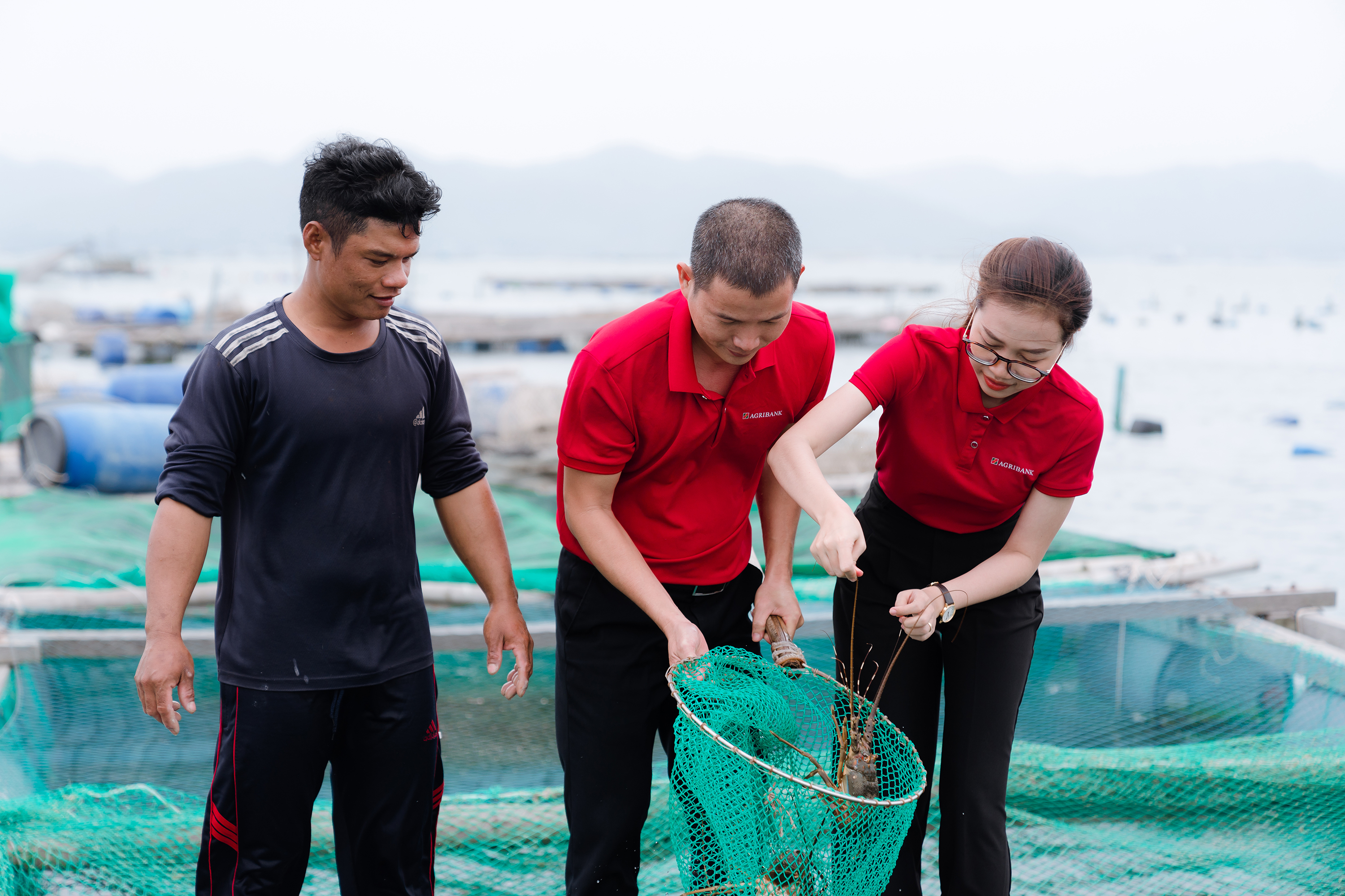 Không chỉ dừng lại ở việc cấp vốn, các cán bộ tín dụng Agribank còn thường xuyên phối hợp cùng Tổ trưởng Tổ vay vốn tích cực tư vấn, định hướng cho bà con áp dụng khoa học kỹ thuật vào sản xuất, phù hợp với xu hướng của thị trường.