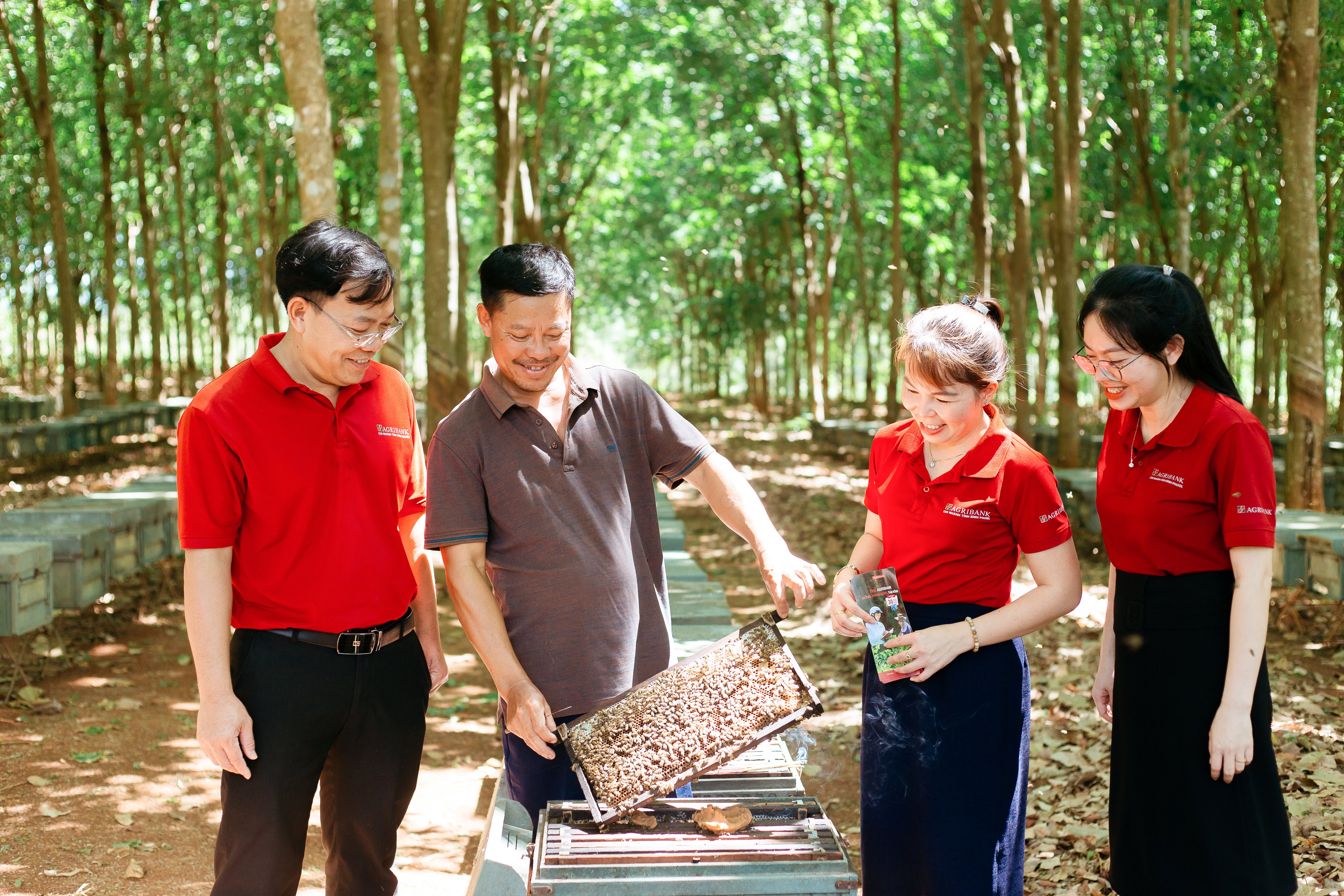 Mô hình cho vay qua Tổ đang được triển khai tại 105 Chi nhánh Agribank tại 34 tỉnh, thành phố với gần 1 triệu thành viên tham gia, dẫn vốn trực tiếp đến từng hộ gia đình, giúp nhiều người dân khu vực nông thôn phát triển kinh tế, thay đổi cuộc sống, phát huy hiệu quả kép trong dòng chảy kinh tế nông thôn.