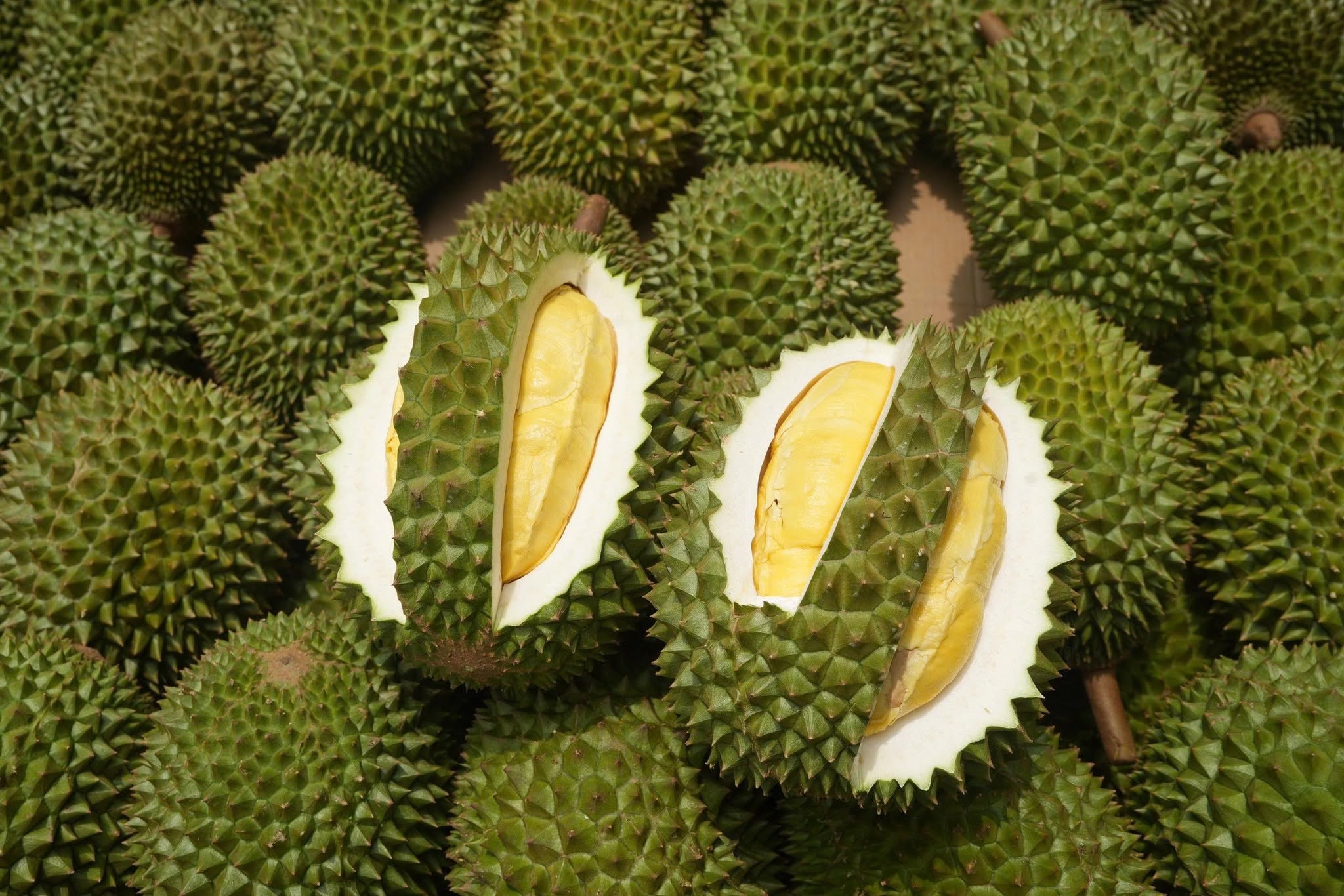 Việt Nam đã có hơn 20 loại rau quả được phép xuất khẩu chính ngạch vào thị trường Trung Quốc, như sầu riêng, chuối, mít, thanh long, nhãn, chôm chôm,...