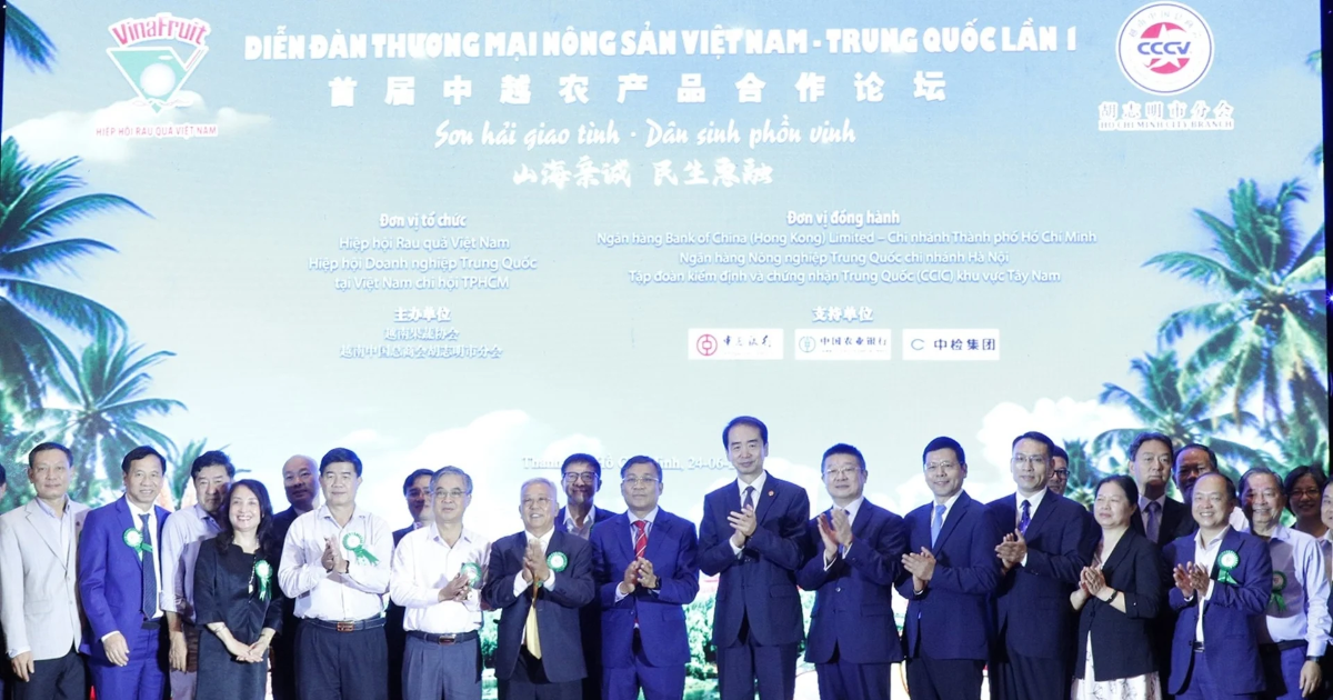 Xuất khẩu rau quả Việt Nam sang Trung Quốc: Tiềm năng lớn