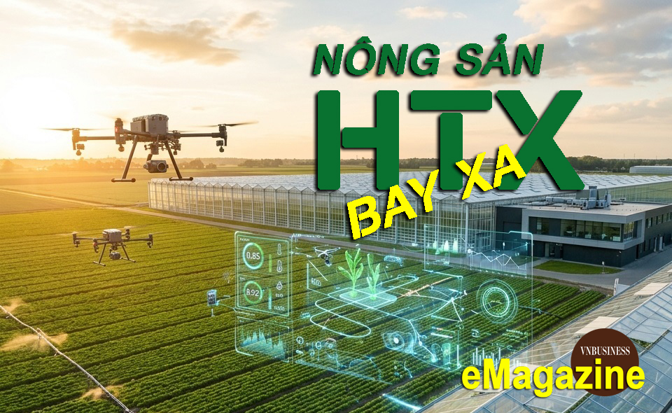 HTX bứt khỏi ‘lối mòn’, mở đường lớn cho nông sản bay xa