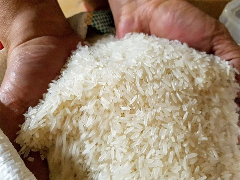 Ngành gạo cần chủ động nâng cao năng lực dự báo thị trường, linh hoạt trong ký kết hợp đồng và minh bạch chuỗi cung ứng để giảm thiểu rủi ro.