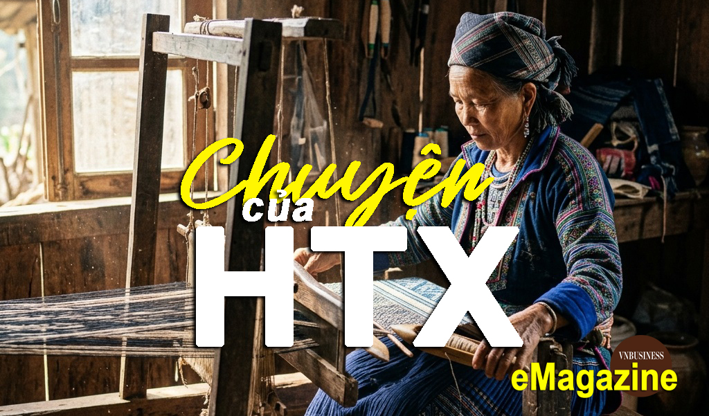 Về xứ Tuyên, xem HTX bán ‘câu chuyện của nông sản’ để làm giàu