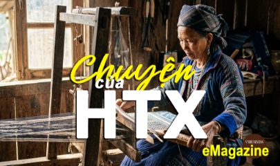 Về xứ Tuyên, xem HTX bán ‘câu chuyện của nông sản’ để làm giàu