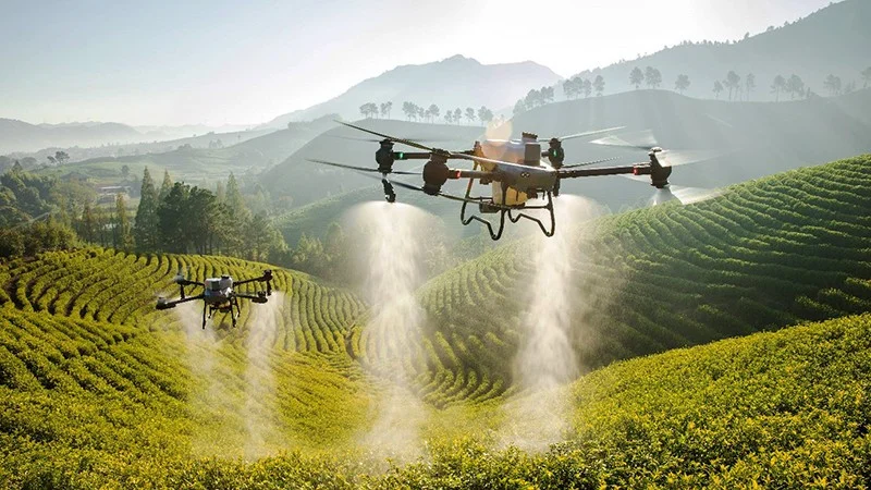 Công nghệ UAV có thể thay đổi cách vận chuyển hàng hóa trong tương lai.