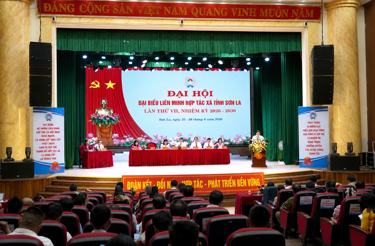 Liên minh Hợp tác xã tỉnh Sơn La đặt mục tiêu mỗi năm vận động, hỗ trợ thành lập mới ít nhất 75 hợp tác xã.