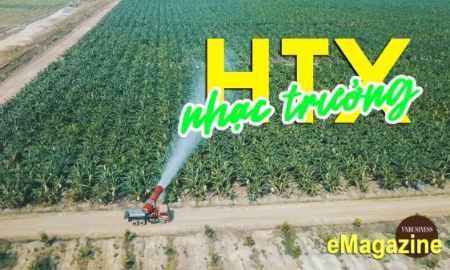 Khi HTX trở thành nhạc trưởng của chuỗi liên kết