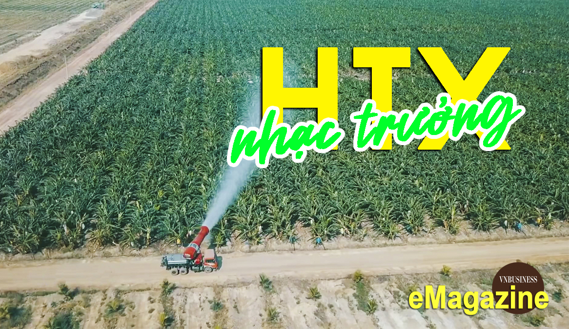 Khi HTX trở thành nhạc trưởng của chuỗi liên kết