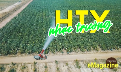 Khi HTX trở thành nhạc trưởng của chuỗi liên kết
