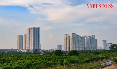 Đổi hướng dòng tiền, giới đầu cơ bất động sản không còn chạy theo ‘sức nóng’ quy hoạch?