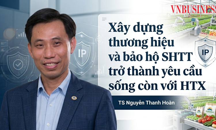 TS Nguyễn Thanh Hoàn: Thương hiệu và sở hữu trí tuệ đã trở thành yêu cầu sống còn với HTX