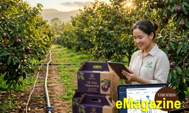 HTX giải bài toán nông sản chất lượng cao nhưng giá trị thấp