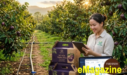 HTX giải bài toán nông sản chất lượng cao nhưng giá trị thấp