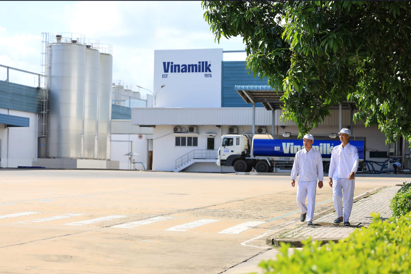 Vinamilk là thương hiệu sữa duy nhất của Việt Nam năm thứ 3 liên tiếp vào Fortune Southeast Asia 500 (Ảnh: VN).