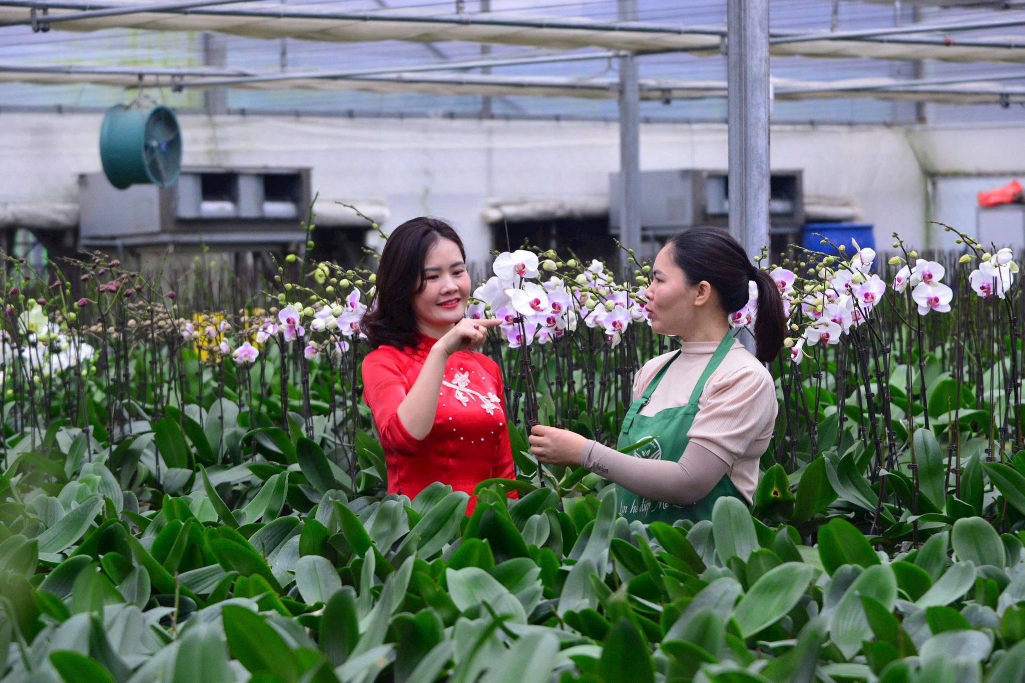 Nhiều ngành nghề ở Hà Nội cần nguồn nhân lực chất lượng cao.