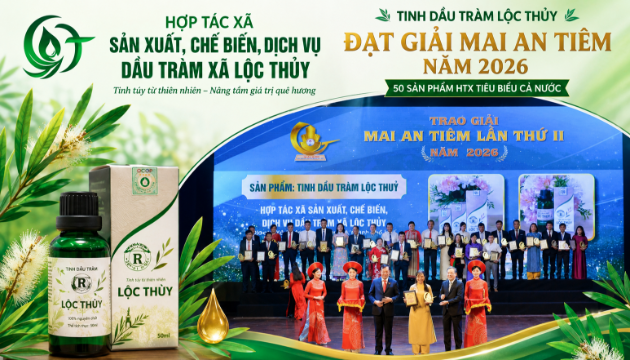 VnBusiness