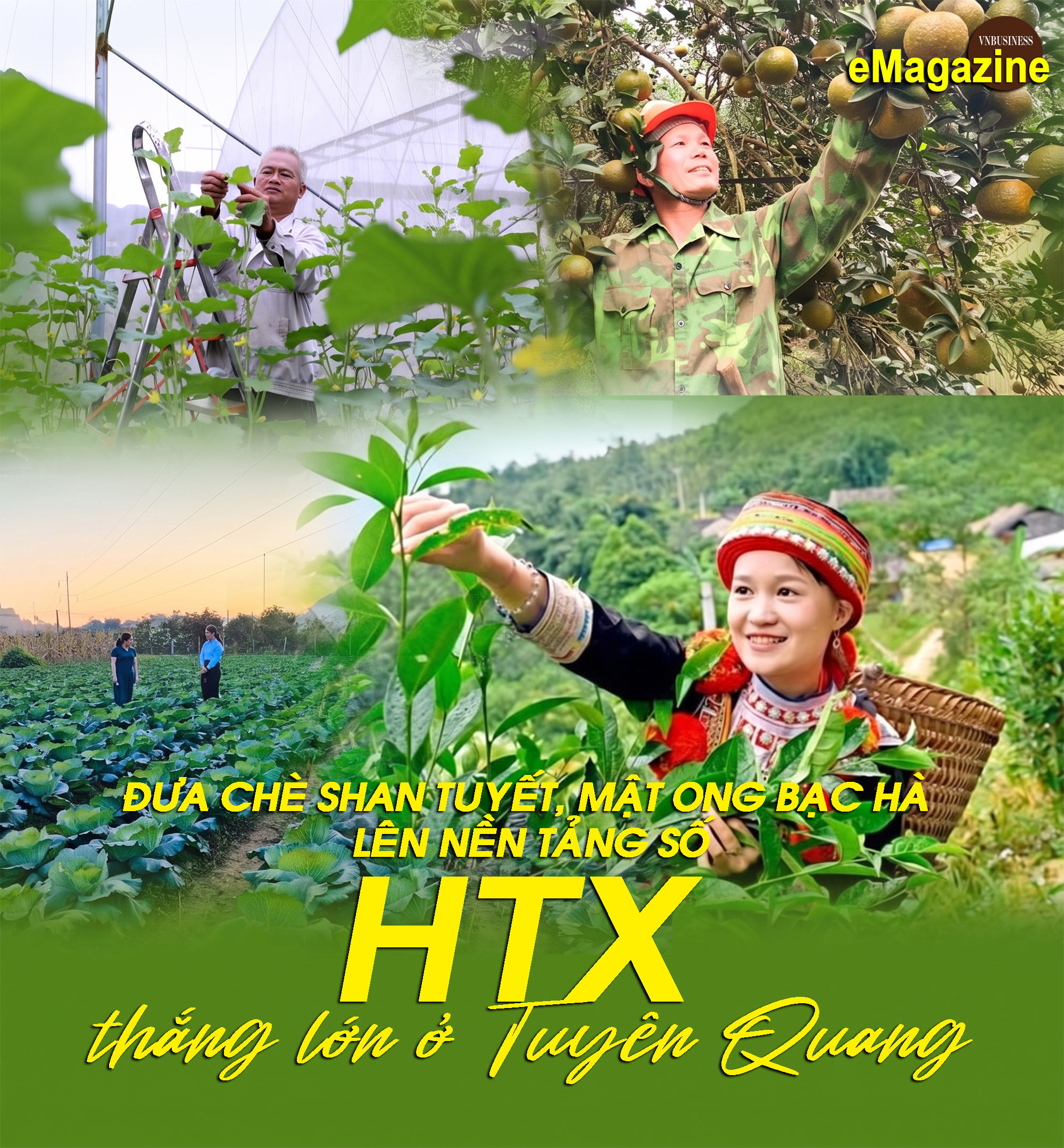 Đưa chè Shan tuyết, mật ong bạc hà lên nền tảng số, HTX thắng lớn ở Tuyên Quang