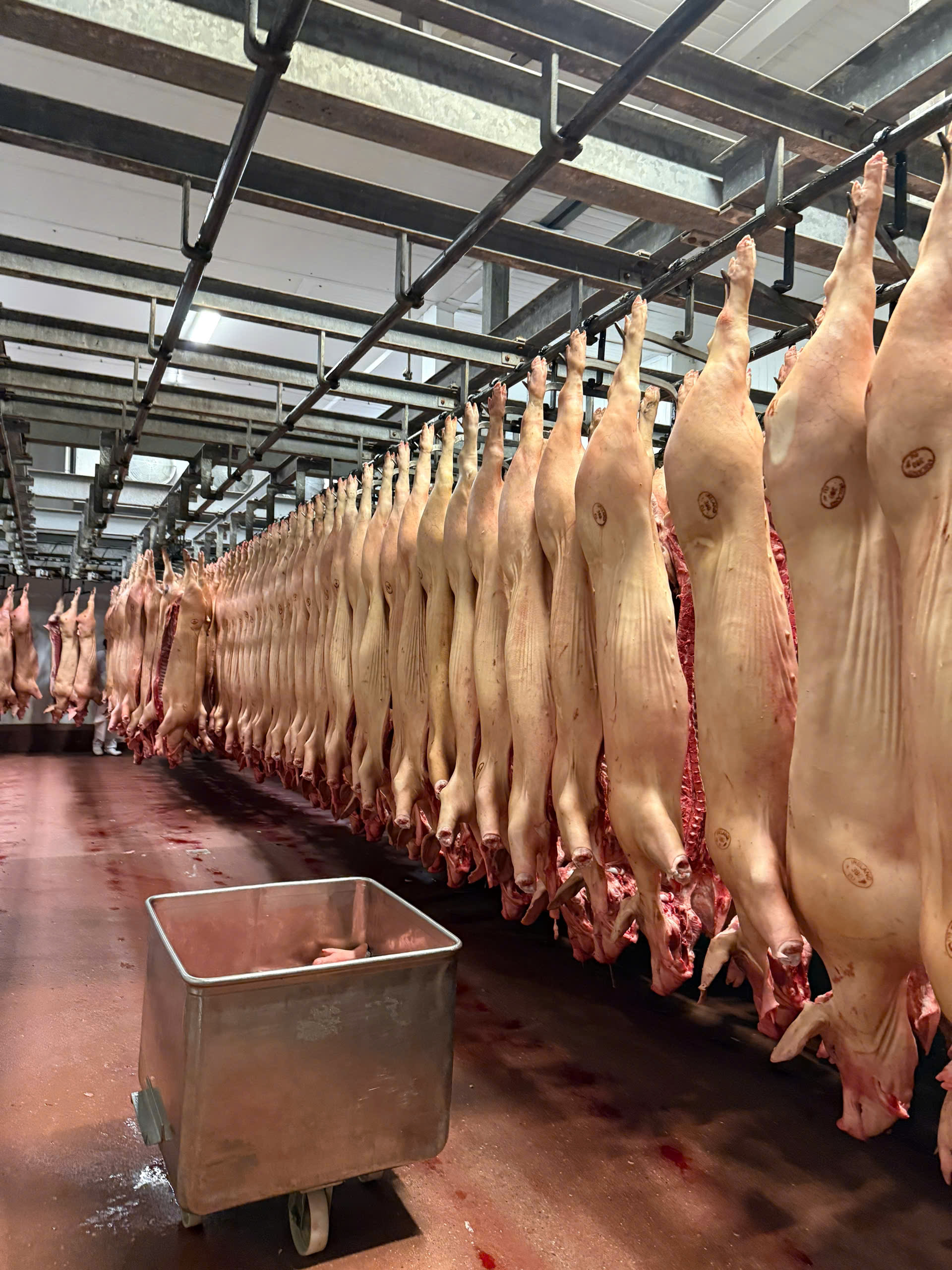 Hoạt động nổi bật nhất của hợp tác xã là ở lĩnh vực thịt lợn, thông qua công ty con Staunton Foods.