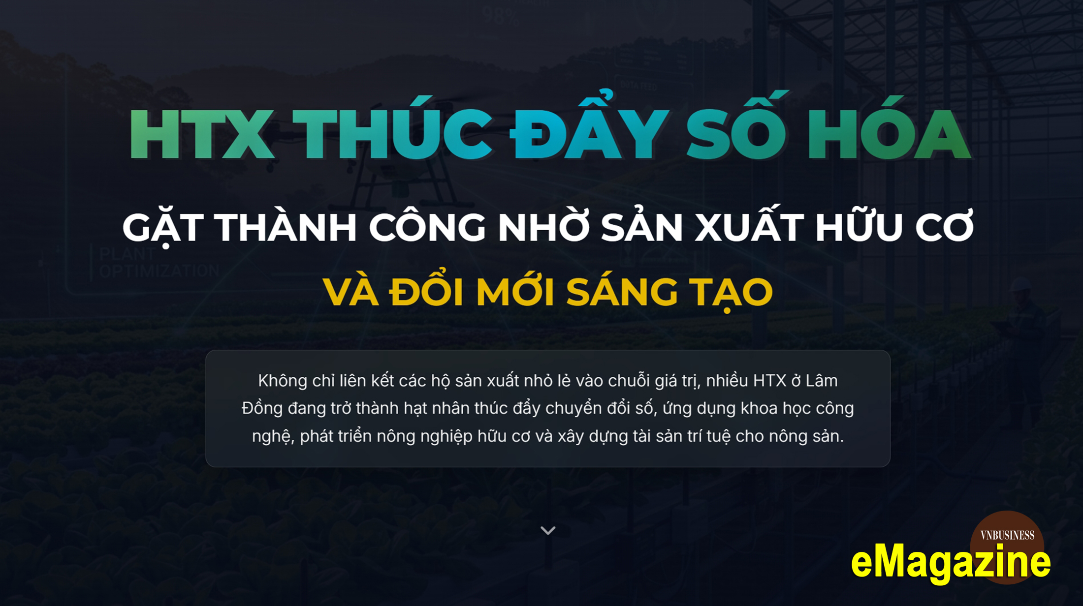 HTX thúc đẩy số hóa, gặt thành công nhờ sản xuất hữu cơ và đổi mới sáng tạo