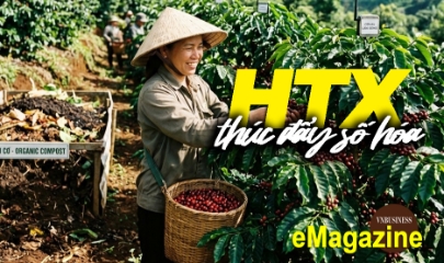 HTX thúc đẩy số hóa, gặt thành công nhờ sản xuất hữu cơ và đổi mới sáng tạo