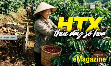 HTX thúc đẩy số hóa, gặt thành công nhờ sản xuất hữu cơ và đổi mới sáng tạo