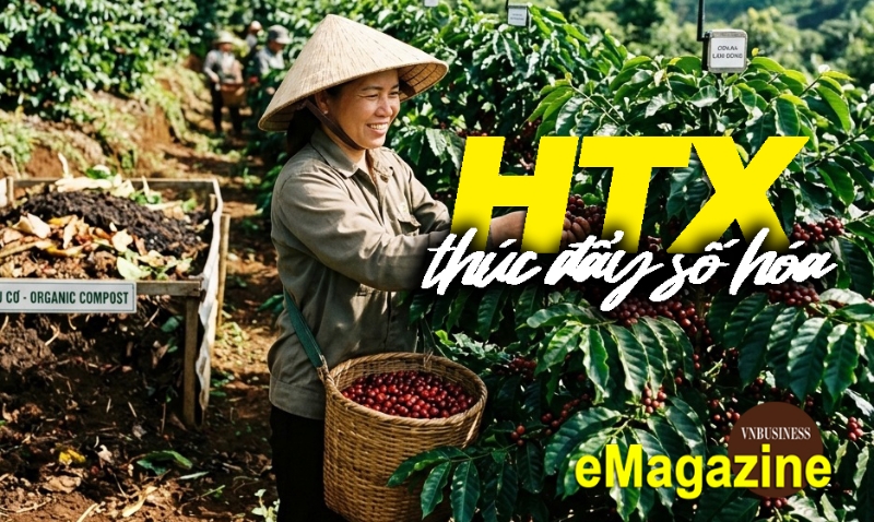 HTX thúc đẩy số hóa, gặt thành công nhờ sản xuất hữu cơ và đổi mới sáng tạo