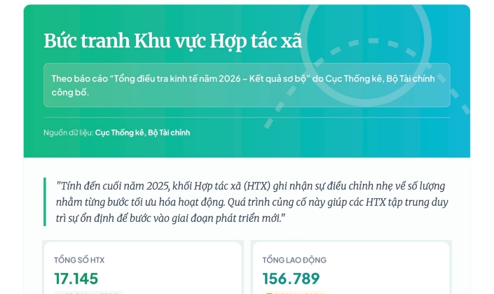 Các HTX đang duy trì quy mô bộ máy tinh gọn