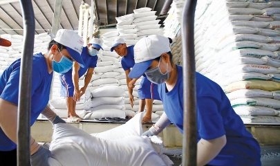 6 tháng đầu năm 2026, tổng kim ngạch xuất khẩu nông, lâm, thủy sản ước đạt 35,88 tỷ USD, tăng 6% so với cùng kỳ năm trước.