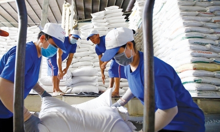 6 tháng đầu năm 2026, tổng kim ngạch xuất khẩu nông, lâm, thủy sản ước đạt 35,88 tỷ USD, tăng 6% so với cùng kỳ năm trước.