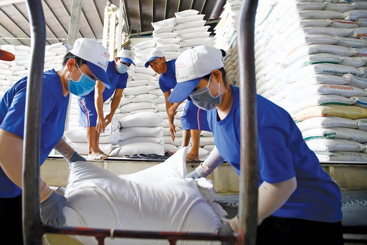 6 tháng đầu năm 2026, tổng kim ngạch xuất khẩu nông, lâm, thủy sản ước đạt 35,88 tỷ USD, tăng 6% so với cùng kỳ năm trước.