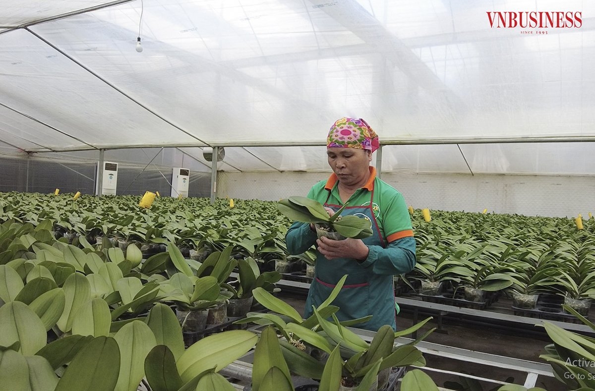 Nghị quyết được kỳ vọng sẽ khơi thông những "điểm nghẽn" kéo dài nhiều năm, tạo không gian phát triển mới cho doanh nghiệp, hợp tác xã (HTX) và toàn bộ nền kinh tế Thủ đô.