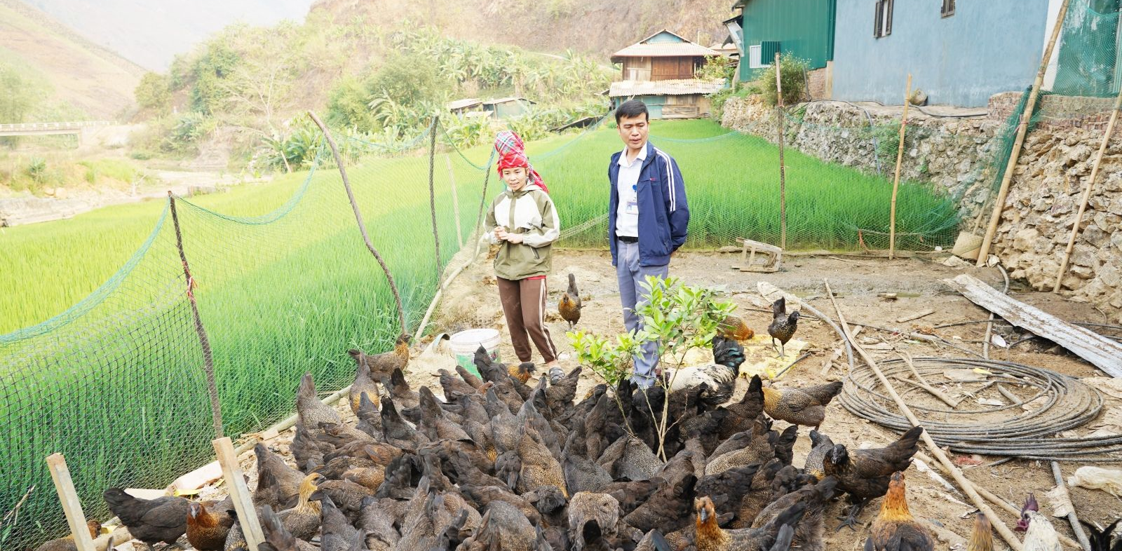 Chị Lò Thị Bưởi trong trang trại