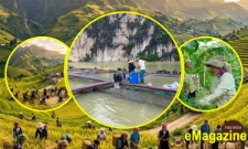 Đằng sau những bước tiến mạnh mẽ của các HTX ở Lai Châu