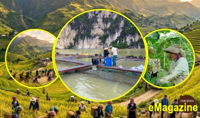 Đằng sau những bước tiến mạnh mẽ của các HTX ở Lai Châu