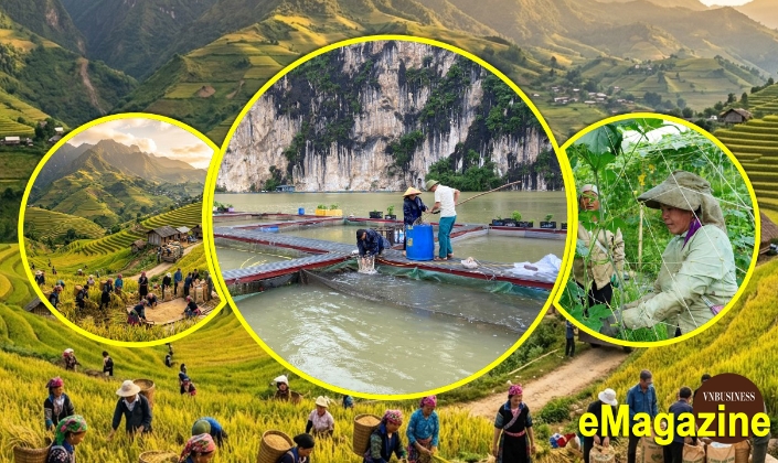 Đằng sau những bước tiến mạnh mẽ của các HTX ở Lai Châu
