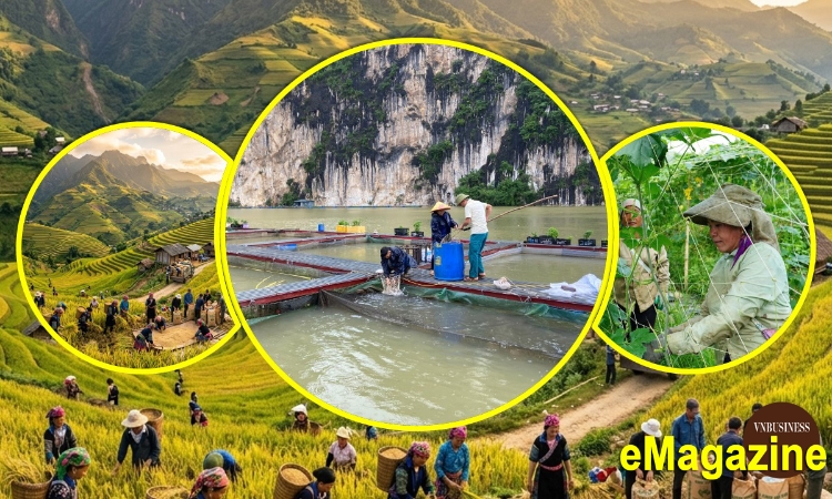 Đằng sau những bước tiến mạnh mẽ của các HTX ở Lai Châu