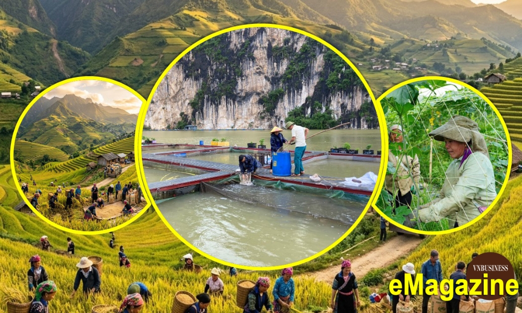 Đằng sau những bước tiến mạnh mẽ của các HTX ở Lai Châu