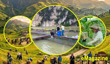 Đằng sau những bước tiến mạnh mẽ của các HTX ở Lai Châu