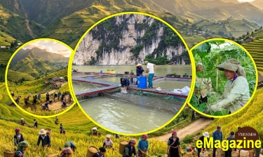 Đằng sau những bước tiến mạnh mẽ của các HTX ở Lai Châu