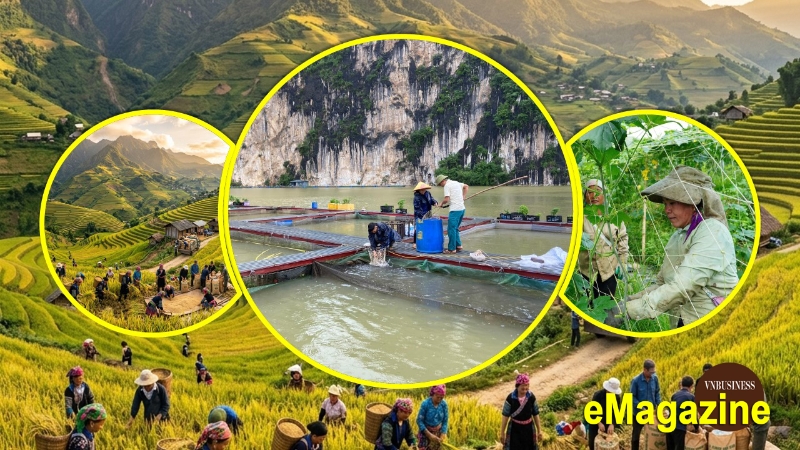 Đằng sau những bước tiến mạnh mẽ của các HTX ở Lai Châu