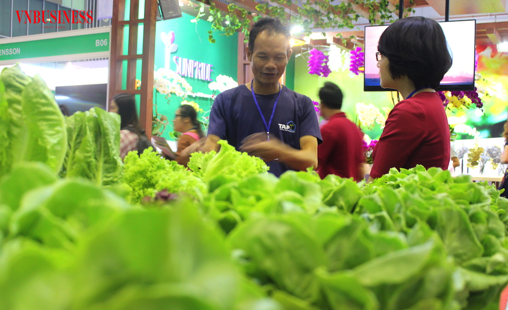 Đầu tư chất lượng, xây dựng thương hiệu và truy xuất nguồn gốc giúp các HTX ở Đà Lạt (cũ) nâng cao giá trị nông sản, tạo nền tảng bảo vệ sản phẩm trước nguy cơ hàng giả, hàng nhái.