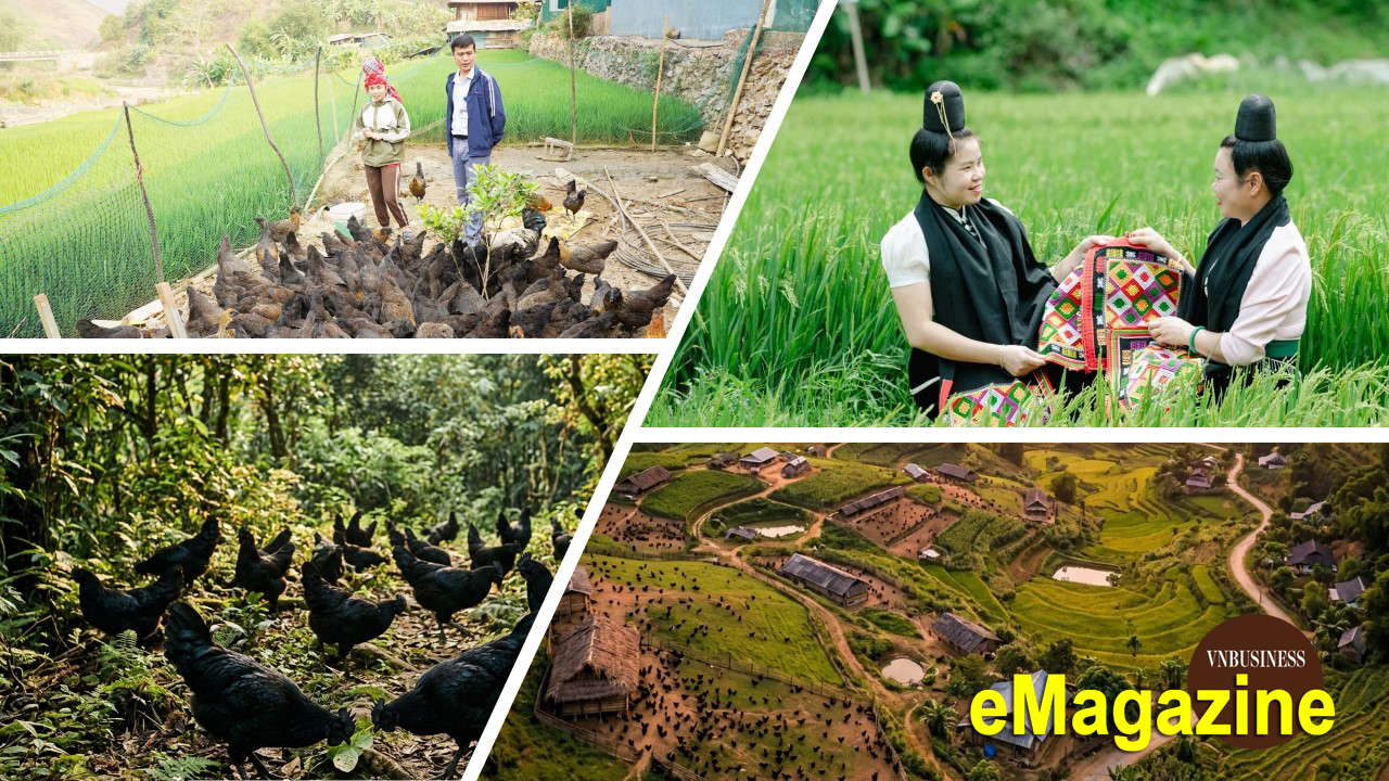 Từ câu chuyện của nữ giám đốc HTX trẻ ở vùng cao Sơn La đến cánh cửa bước vào thị trường lớn